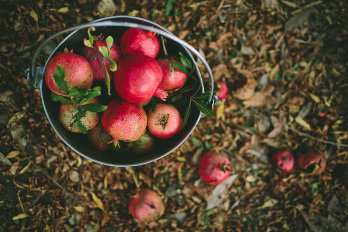 Pomegranates-01